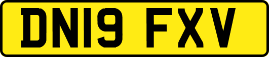 DN19FXV