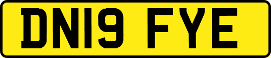DN19FYE