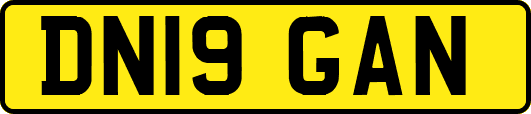 DN19GAN