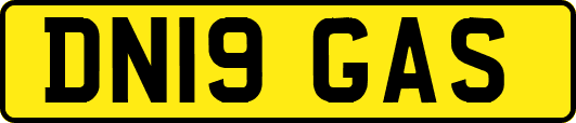 DN19GAS
