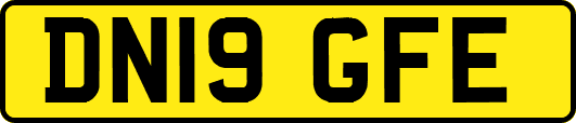 DN19GFE