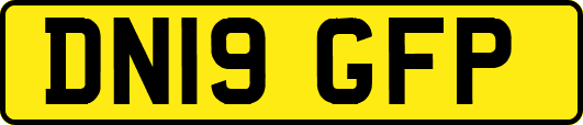DN19GFP