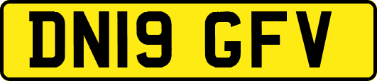 DN19GFV