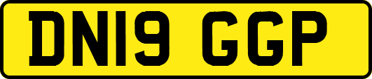 DN19GGP