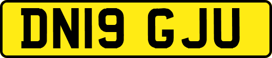 DN19GJU