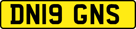 DN19GNS