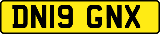 DN19GNX