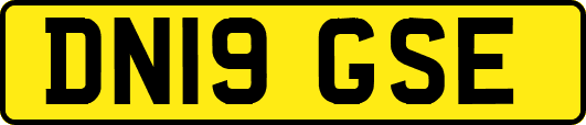 DN19GSE