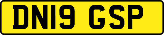 DN19GSP