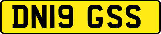 DN19GSS