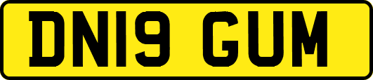 DN19GUM