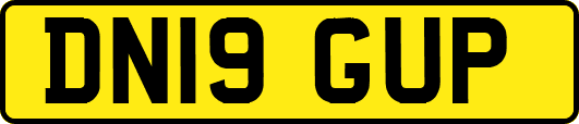 DN19GUP