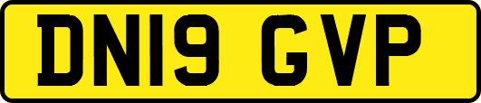 DN19GVP