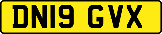 DN19GVX