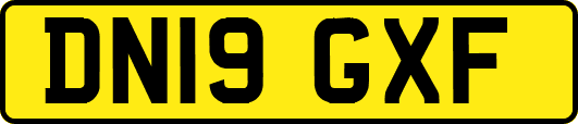 DN19GXF