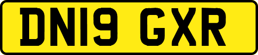 DN19GXR