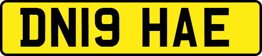 DN19HAE