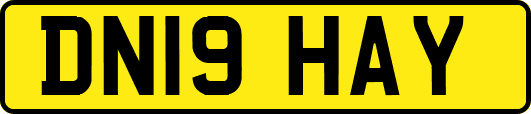 DN19HAY