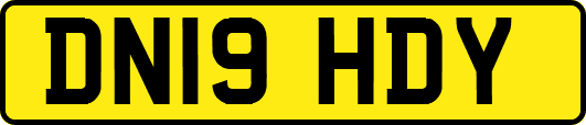 DN19HDY