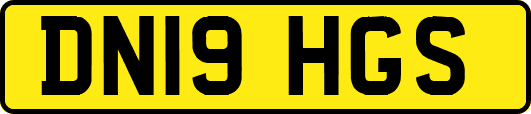 DN19HGS