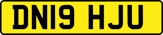 DN19HJU