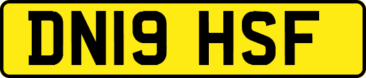 DN19HSF