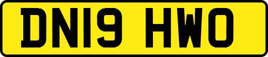 DN19HWO