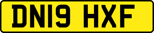 DN19HXF