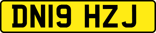 DN19HZJ