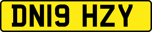 DN19HZY