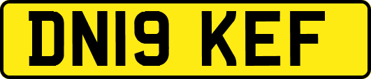 DN19KEF