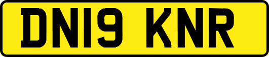 DN19KNR