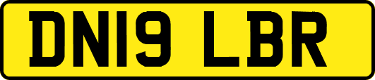 DN19LBR