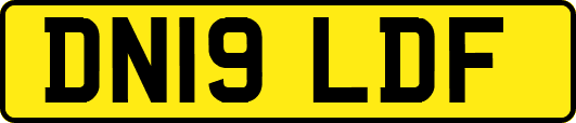 DN19LDF