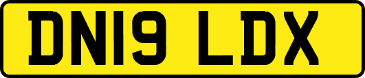 DN19LDX