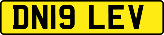 DN19LEV