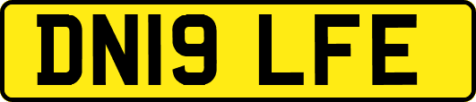 DN19LFE