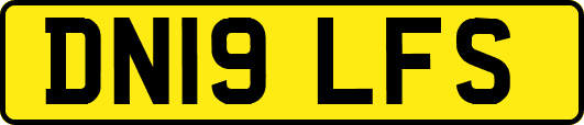 DN19LFS