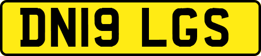 DN19LGS