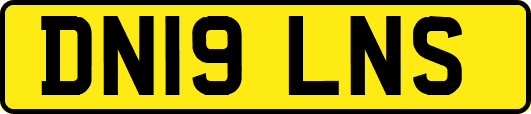 DN19LNS