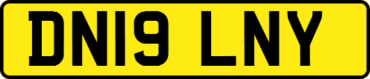 DN19LNY