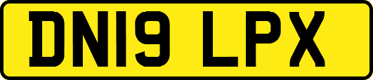 DN19LPX