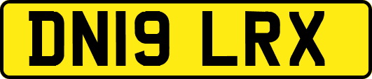 DN19LRX
