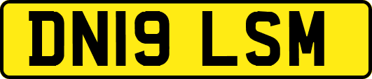 DN19LSM