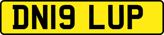 DN19LUP