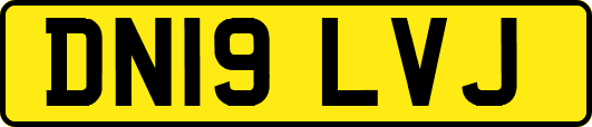 DN19LVJ