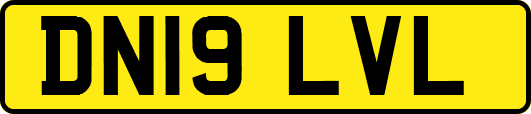 DN19LVL