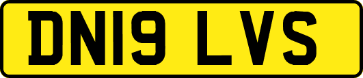 DN19LVS