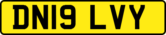 DN19LVY