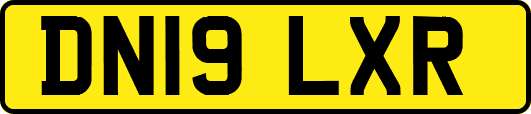 DN19LXR